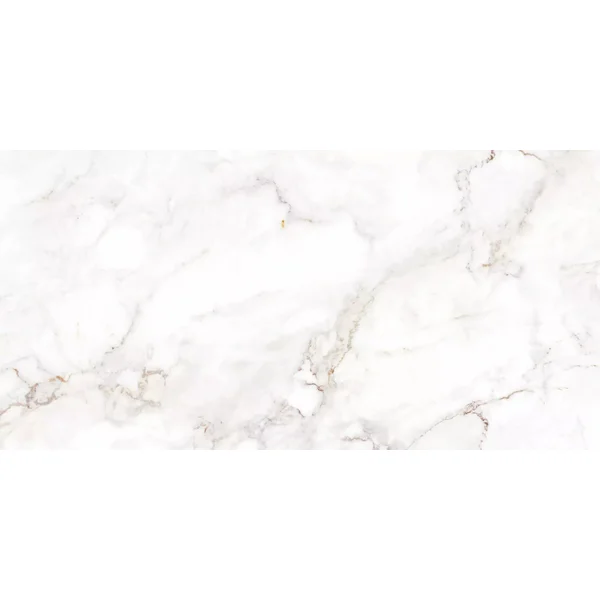 TEO. Palazzo White F P 600x600x8 R Satin 1
